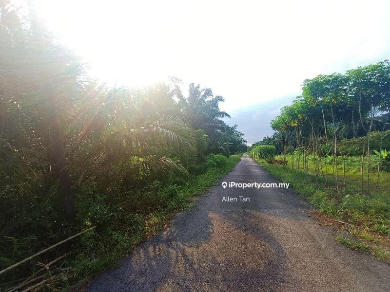 Agricultural Land for Sale in Nearby Pontian Perdana, Pontian by Allen Tan - iProperty.com.my