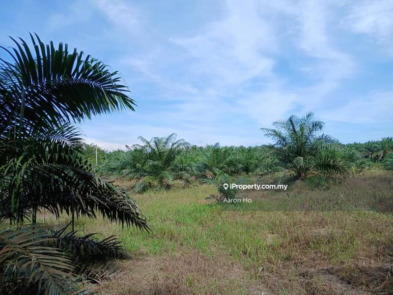 Agricultural Land untuk Dijual di Kampung Sungai Jambu, Selama oleh Aaron Ho - iProperty.com.my