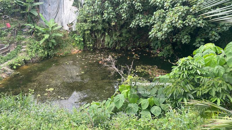 Agricultural Land for Sale in Raub, Raub by James Ng - iProperty.com.my