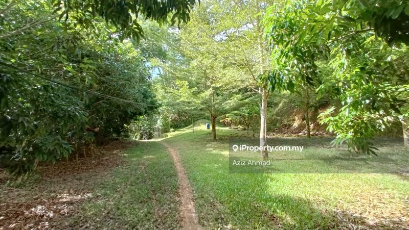 Agricultural Land for Sale in Kuala Pangsoon, Hulu Langat by Aziz Ahmad - iProperty.com.my