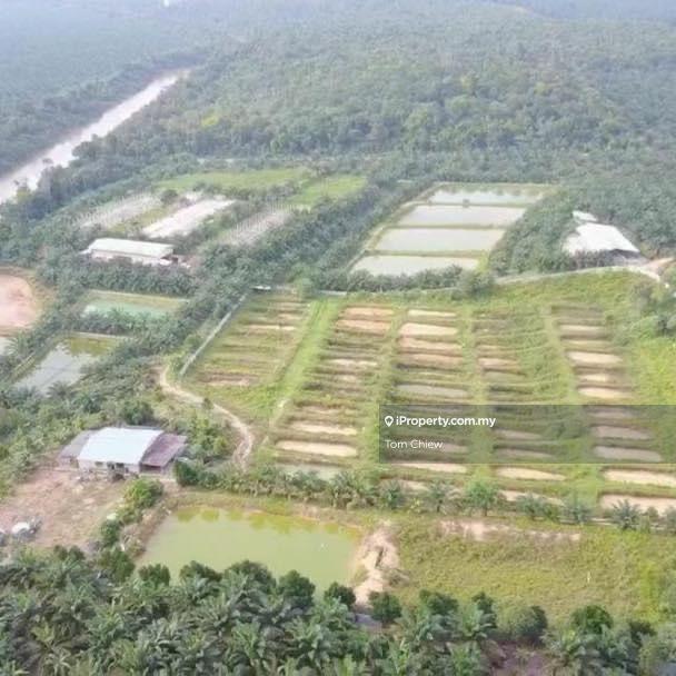 Tanah Pertanian untuk Dijual di Kota Tinggi, Kota Tinggi oleh Tom Chiew - iProperty.com.my