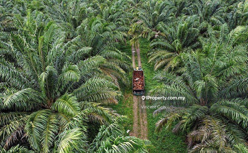 Tanah Pertanian untuk Dijual di Sungai Pelek, Sepang oleh Vincent Goh - iProperty.com.my