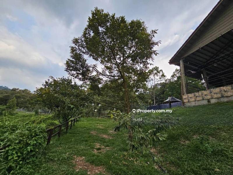 Agricultural Land for Sale in Pekan Batu 14, Hulu Langat by Huda - iProperty.com.my