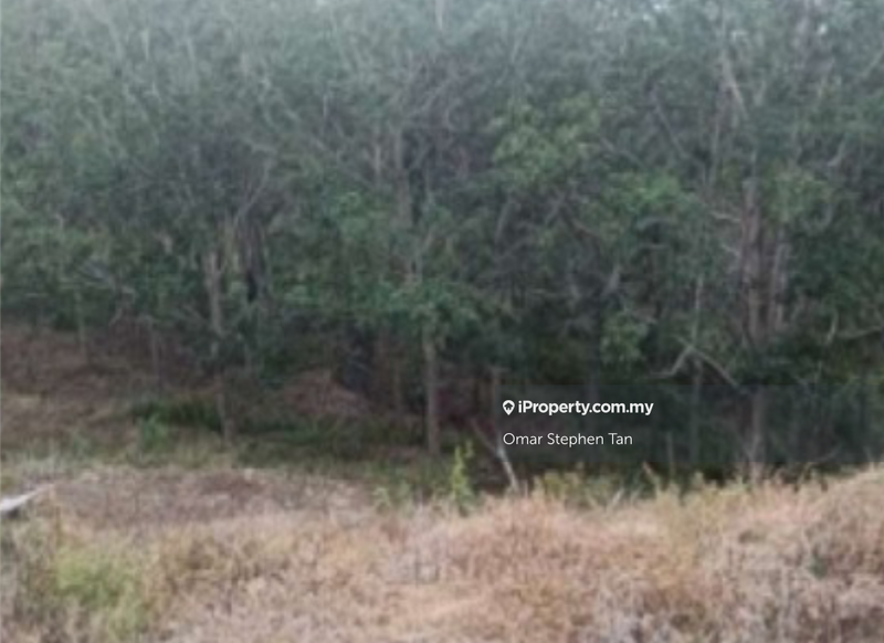 Agricultural Land for Sale in Kota Marudu, Sabah by Omar Stephen Tan - iProperty.com.my