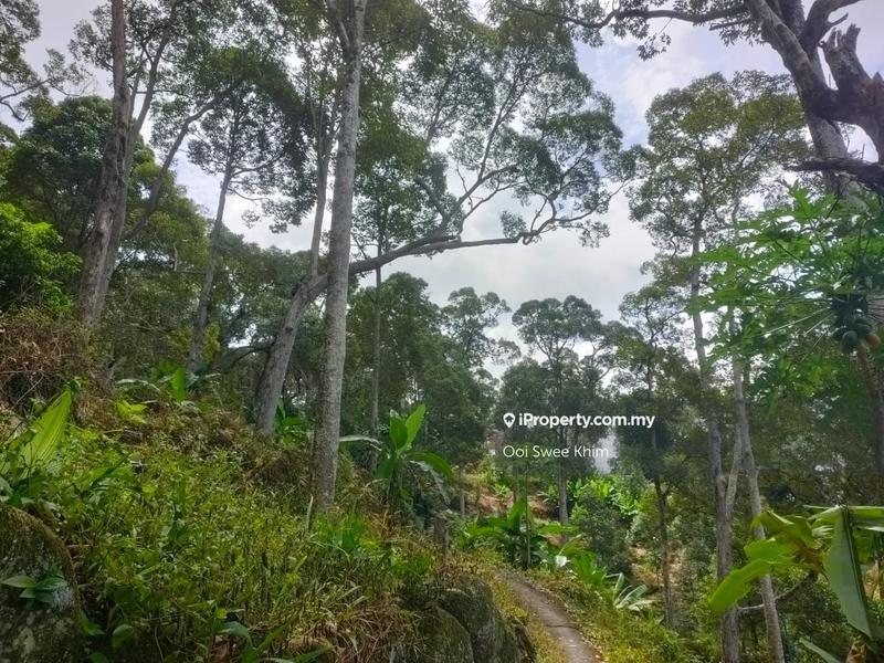 Tanah Pertanian untuk Dijual di Teluk Kumbar, Penang oleh Ooi Swee Khim - iProperty.com.my