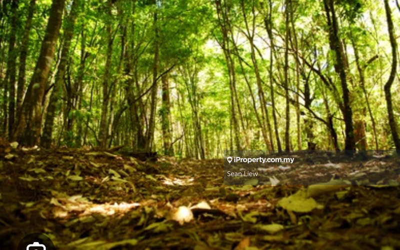 Agricultural Land for Sale in Tanjung Agas , Port Dickson, Port Dickson by Sean Liew - iProperty.com.my