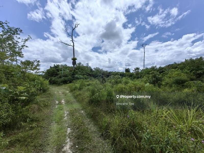 For Sale - 2.5 Acres Freehold Agriculture Land Kerambit Sg Lik Cheka Kuala Lipis