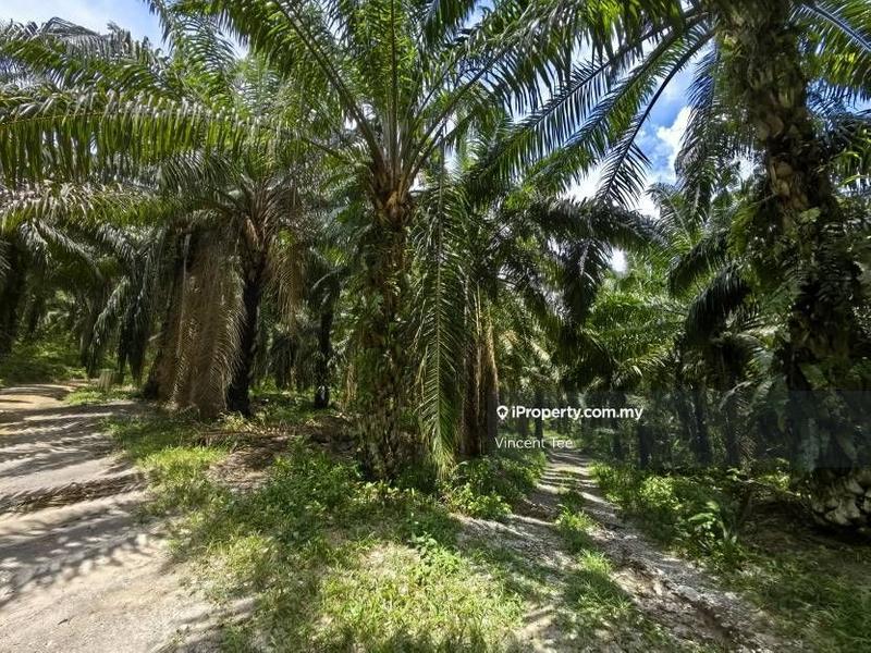 Tanah Pertanian untuk Dijual di Taman Jelebu, Kuala Klawang oleh Vincent Tee - iProperty.com.my