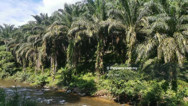 Agricultural Land for Sale in Kampung Kenang, Sungai Siput by Kelly Yee - iProperty.com.my