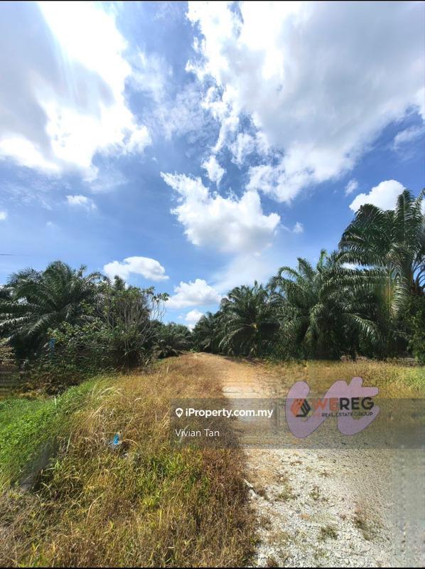 Tanah Pertanian untuk Dijual di Kampung Sijangkang, Telok Panglima Garang oleh Vivian Tan - iProperty.com.my