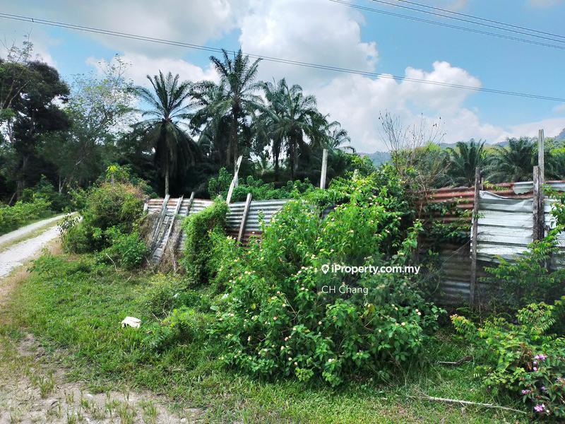 Agricultural Land for Sale in Tasek, Simpang Ampat by CH Chang - iProperty.com.my