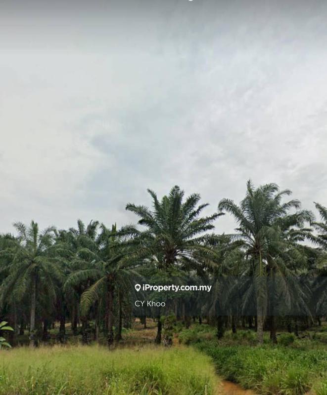 Agricultural Land for Sale in Johor Kluang Taman Puteri 1168 acres Mix deverlope, Kluang by CY Khoo - iProperty.com.my