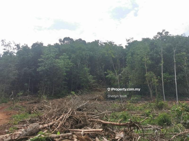 For Sale - Slim River Agricultural land for sale