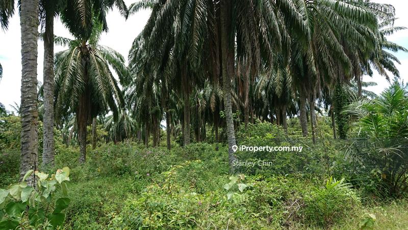 Tanah Perindustrian untuk Dijual di Bestari Jaya, Selangor oleh Stanley Chin - iProperty.com.my