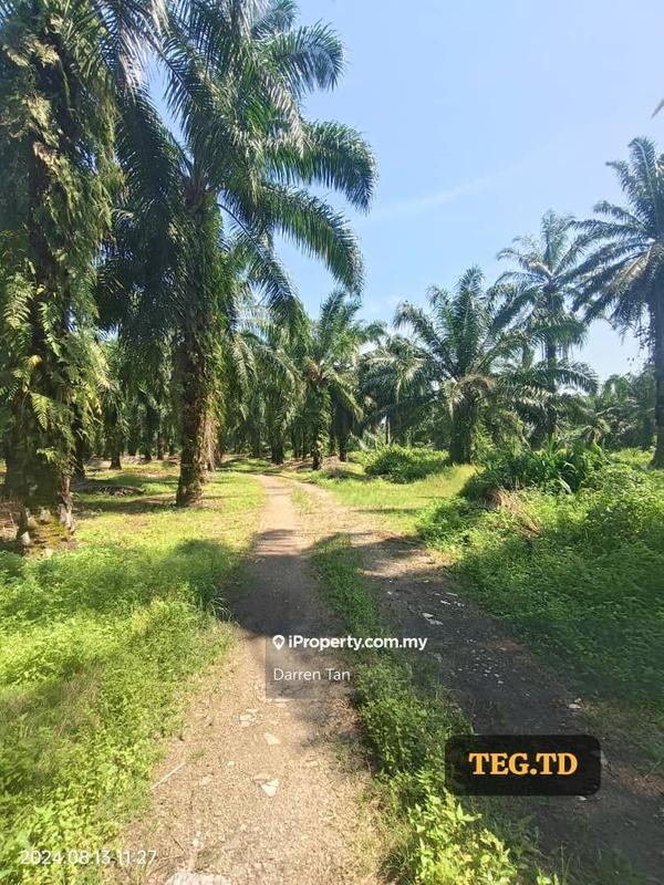 Agricultural Land for Sale in Kampung Jenjarom, Jenjarom, Selangor, Jenjarom by Darren Tan - iProperty.com.my