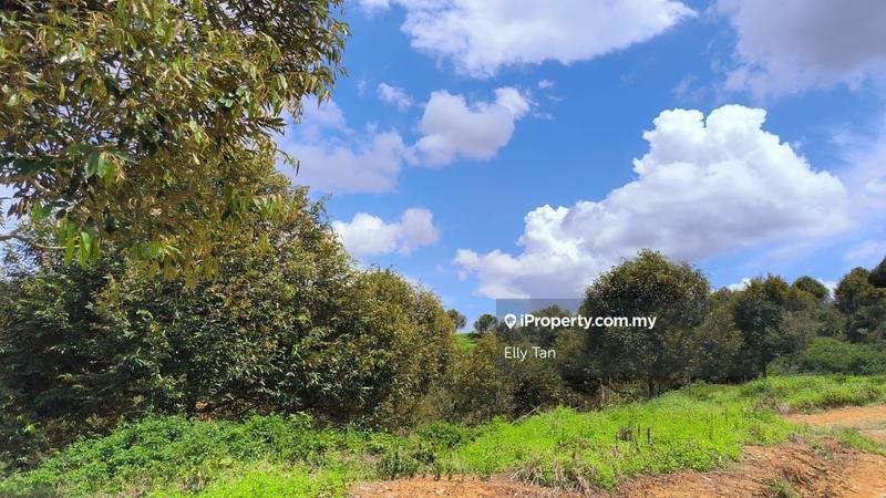Tanah Pertanian untuk Dijual di Telemong, Karak, Bentong, Raub, Manchis, Bentong oleh Elly Tan - iProperty.com.my