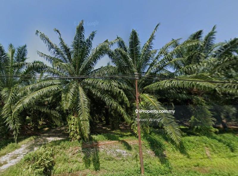 Agricultural Land for Sale in Kampung Sijangkang, Telok Panglima Garang by Steven Wong - iProperty.com.my