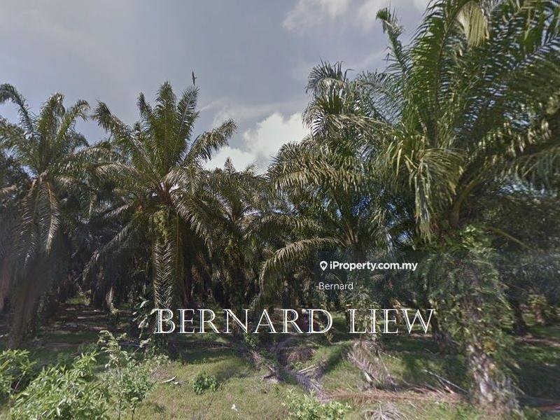 Agricultural Land for Sale in Bukit Panchor, Nibong Tebal by Bernard - iProperty.com.my