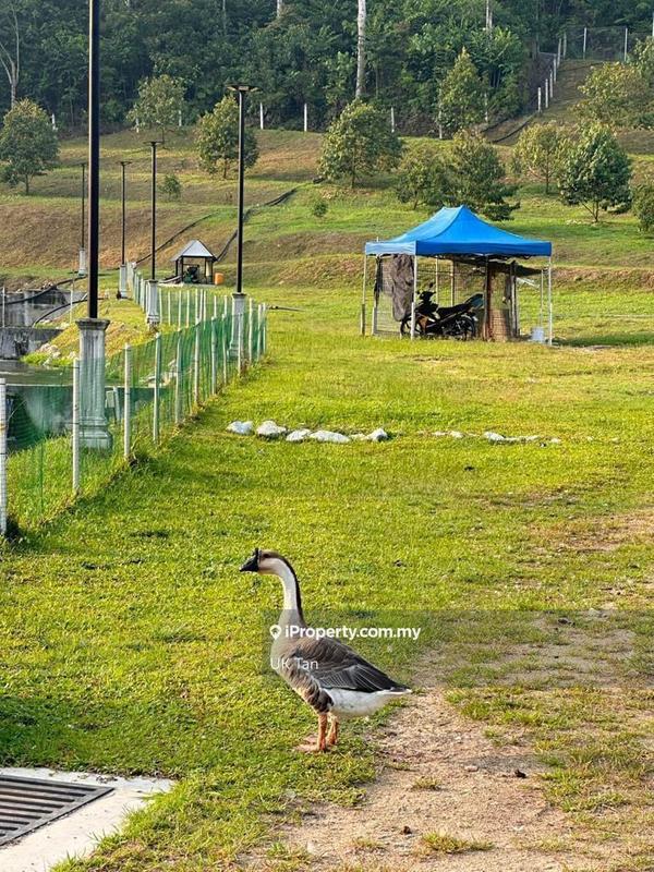 For Rent - Agriculture Land 6 Acres @ Serendah Rawang