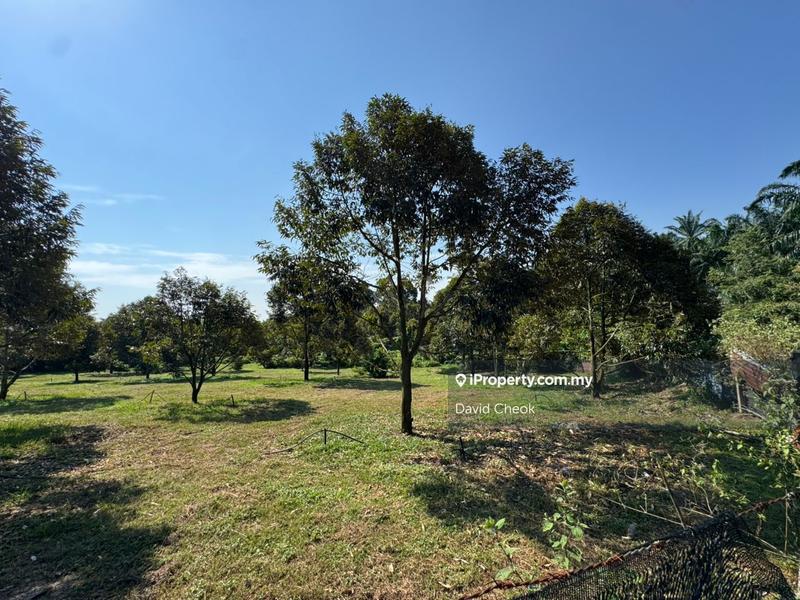 For Sale - Port Dickson, Negeri Sembilan, Durian tree, Freehold, 4.3 acres