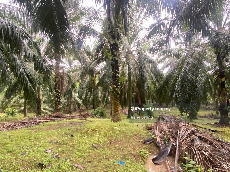 Tanah Perindustrian untuk Dijual di Taman Mentakab, Mentakab oleh Irene Leong - iProperty.com.my
