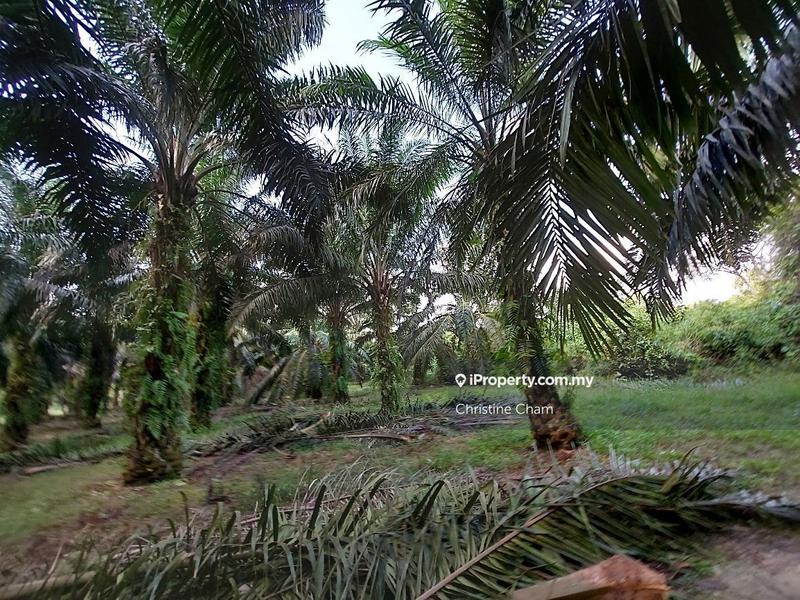 Tanah Kediaman untuk Dijual di Kota Tinggi Johor, Kota Tinggi oleh Christine Cham - iProperty.com.my