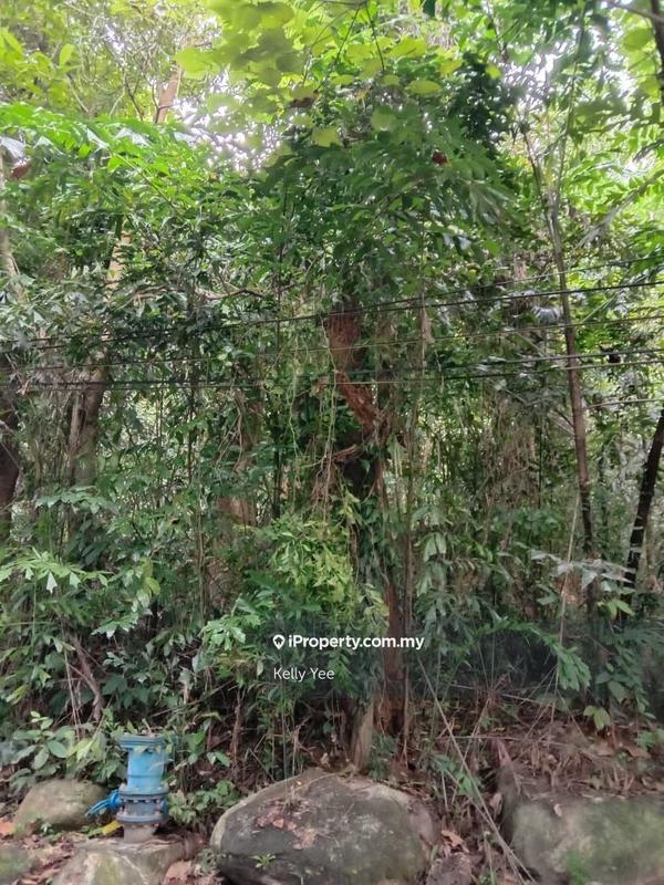 Tanah Kediaman untuk Dijual di Bukit Tengah, Bukit Mertajam oleh Kelly Yee - iProperty.com.my