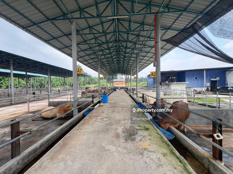 Tanah Pertanian untuk Dijual di Bangi, Bangi oleh Shamzjoe - iProperty.com.my