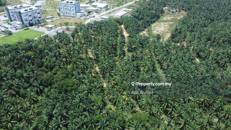 Agricultural Land for Sale in Rembau, Rembau by Aziz Ahmad - iProperty.com.my