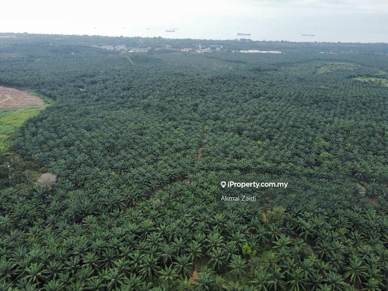 Tanah Perindustrian untuk Dijual di Melaka Ayer Keroh Jasin Alor Gajah, Melaka City oleh Akmal Zaidi - iProperty.com.my