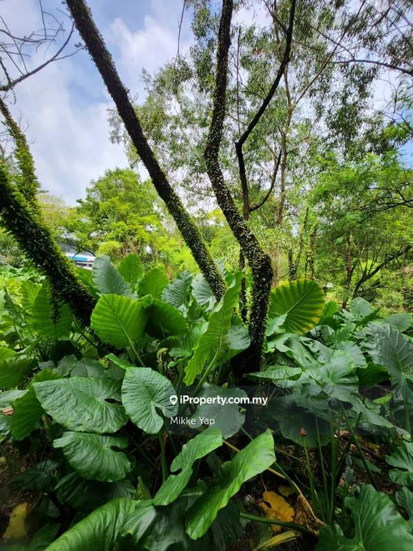 Industrial Land for Sale in Pusat Bandar Puchong, Puchong by Mikke Yap - iProperty.com.my