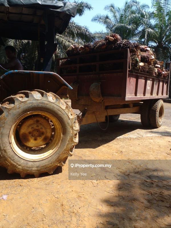 Agricultural Land for Sale in Palm Oil Plantation @ Ulu Lepar, Kuantan for Sale, Kuantan by Kelly Yee - iProperty.com.my