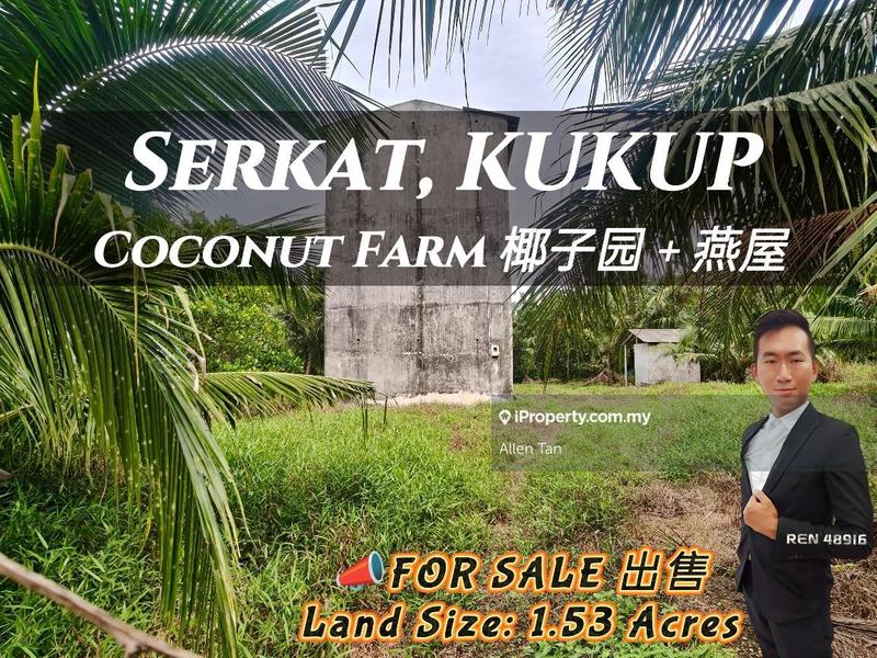 Agricultural Land untuk Dijual di Kukup, Johor oleh Allen Tan - iProperty.com.my