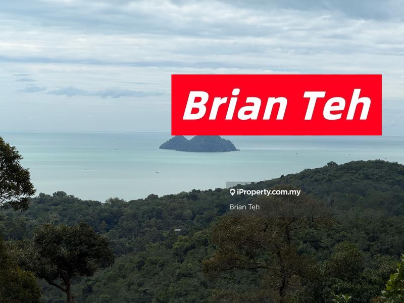 For Sale - Hill Land Durian Farm Agricultural Land Sale at Teluk Kumbar with Road Access