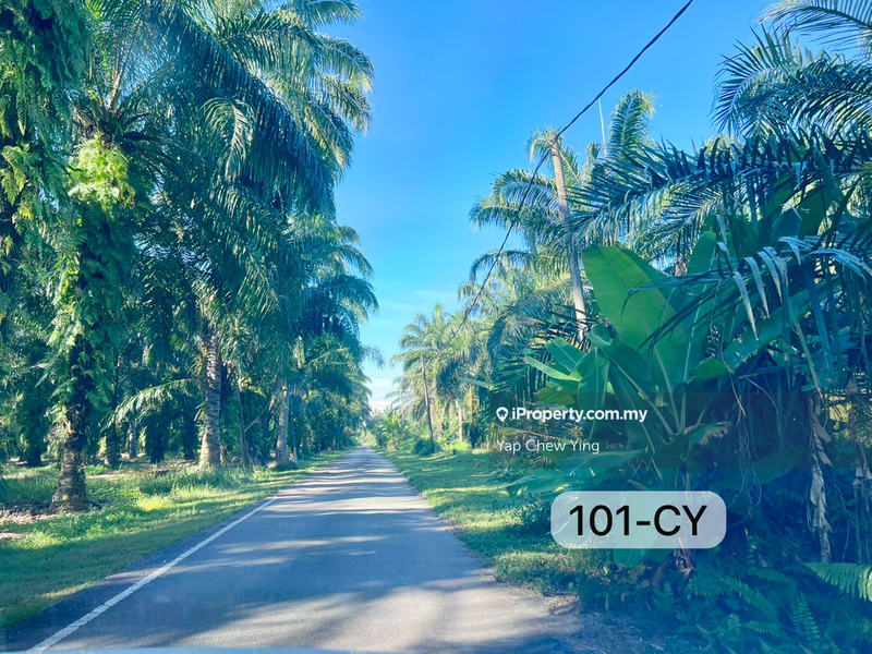 Agricultural Land for Sale in Kampung Sijangkang, Telok Panglima Garang by Yap Chew Ying - iProperty.com.my
