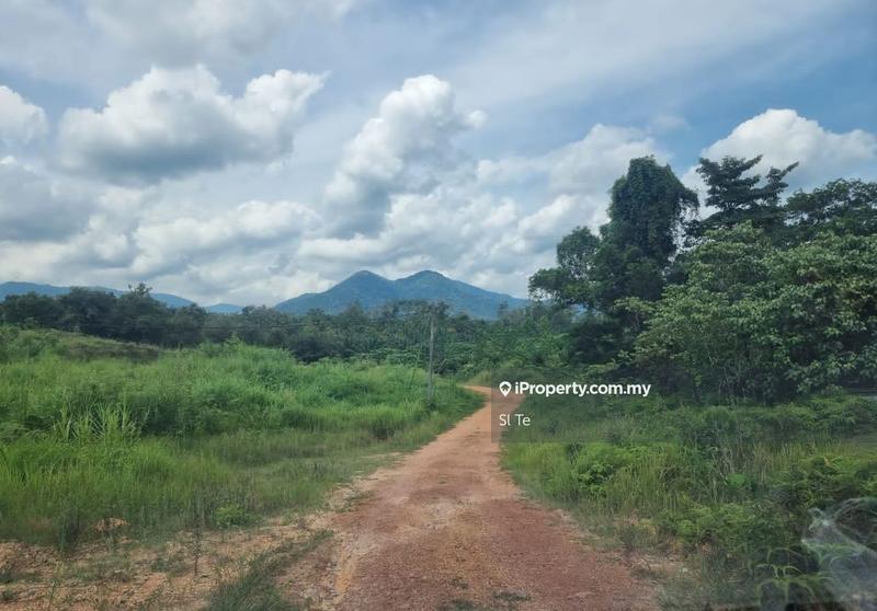 For Sale - Proton City