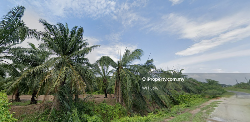 Agricultural Land for Sale in Banting, Banting by WH Low - iProperty.com.my