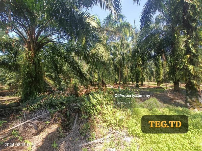 Agricultural Land for Sale in Kampung Jenjarom, Jenjarom, Selangor, Jenjarom by Darren Tan - iProperty.com.my