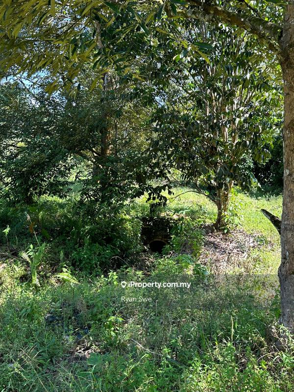 Agricultural Land for Sale in Karak, Pahang by Ryan Swe - iProperty.com.my