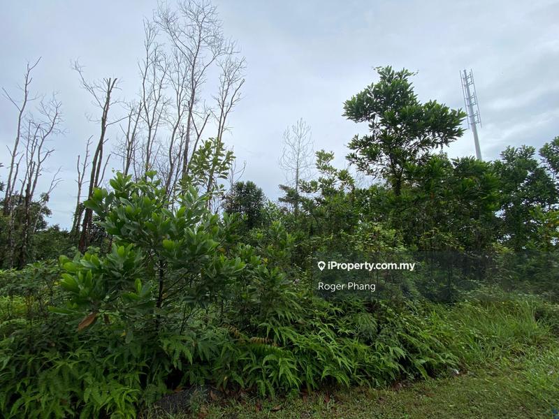 Industrial Land for Sale in Kuantan, Pahang by Roger Phang - iProperty.com.my