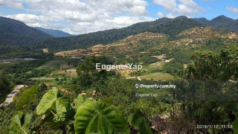 For Sale - Karak,The Valley, Bentong,Raub , Bukit Tinggi, Janda baik , Genting Sempah ,Pahang