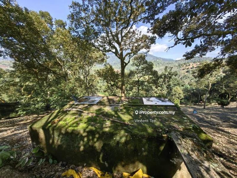 Tanah Pertanian untuk Dijual di Cheroh, Raub oleh Vincent Tee - iProperty.com.my