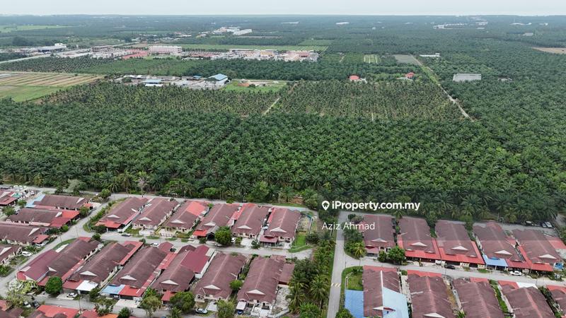 Agricultural Land for Sale in 3ayxd, Sabak Bernam by Aziz Ahmad - iProperty.com.my