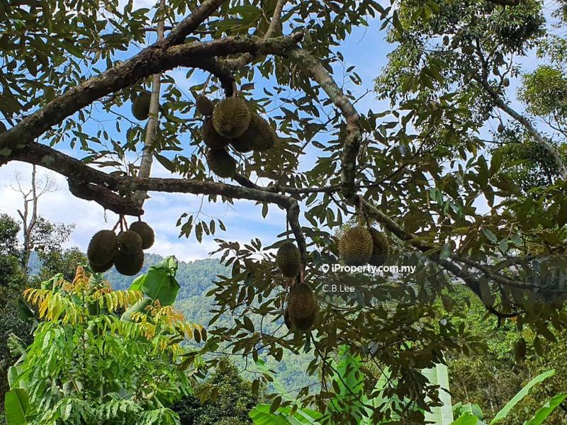 Residential Land for Sale in Broga, Lenggeng by C.B.Lee - iProperty.com.my