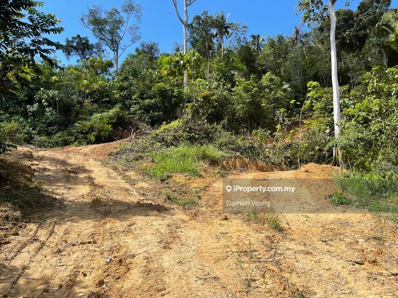 Agricultural Land for Sale in Karak, Bentong by Damon Wong - iProperty.com.my