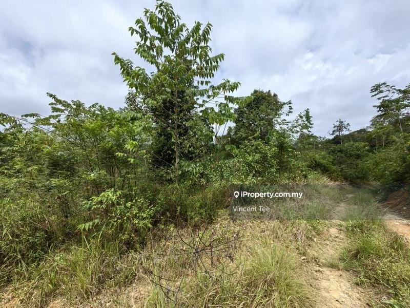 Tanah Pertanian untuk Dijual di Bandar Raub Perdana, Raub oleh Vincent Tee - iProperty.com.my
