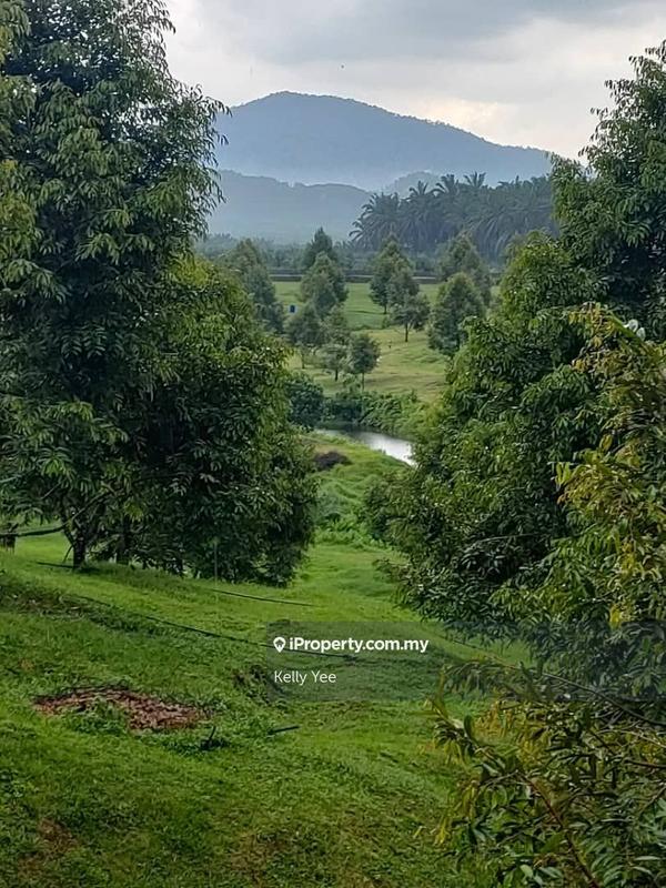 Tanah Pertanian untuk Dijual di Kampung Sungai Terap, Serdang oleh Kelly Yee - iProperty.com.my