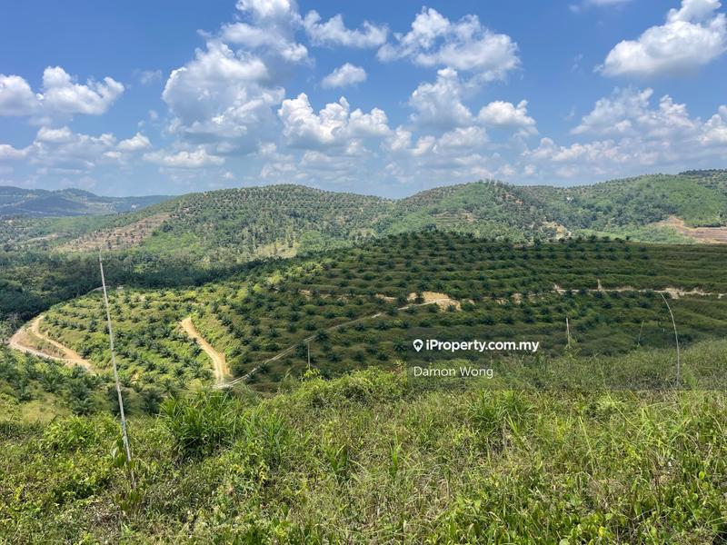 Tanah Pertanian untuk Dijual di Karak, Bentong oleh Damon Wong - iProperty.com.my