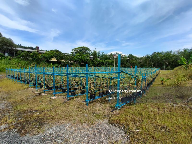Tanah Pertanian untuk Dijual di Hulu Semenyih, Semenyih oleh Mr Chan - iProperty.com.my