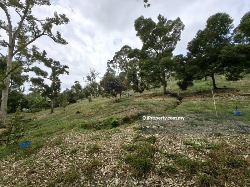 Tanah Pertanian untuk Dijual di Cheroh, Raub oleh Vincent Tee - iProperty.com.my